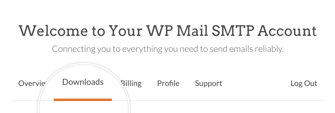 Accessing the Downloads section of your WP Mail SMTP account