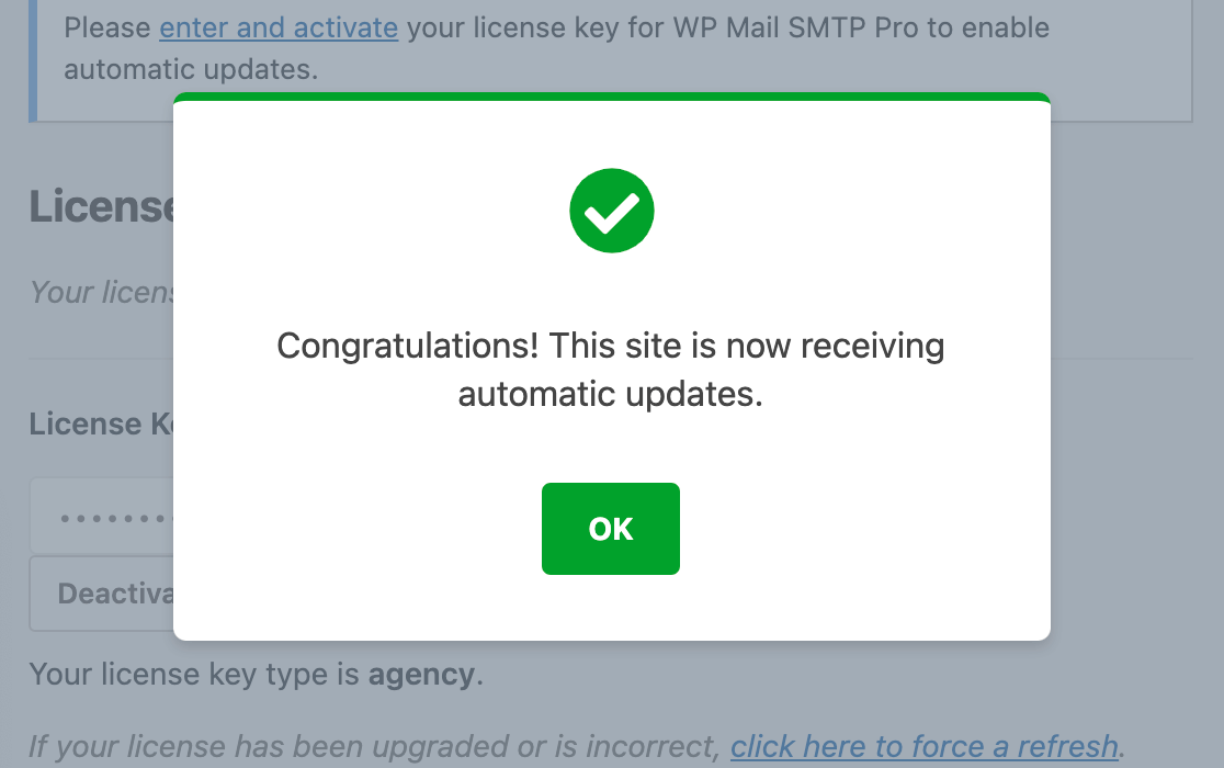 A confirmation notification for license verification in WP Mail SMTP