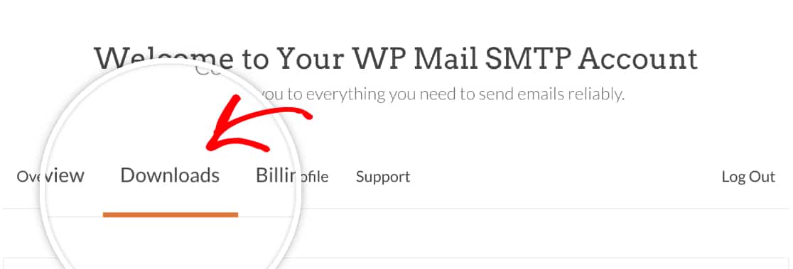 Open the Downloads tab in your WP Mail SMTP account