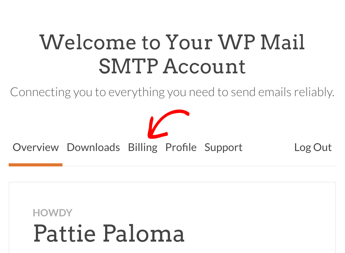 Accessing the Billing section of your WP Mail SMTP account