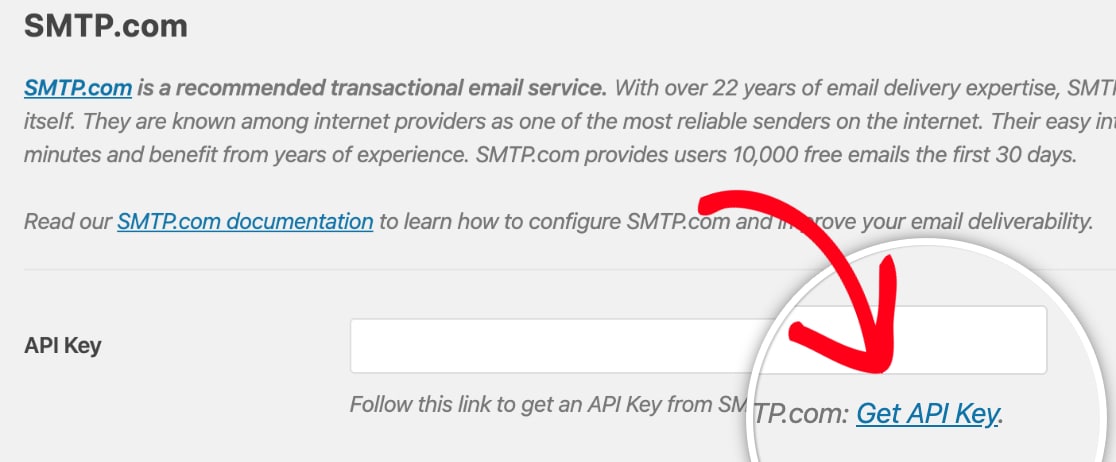 Follow the API Key link within WP Mail SMTP