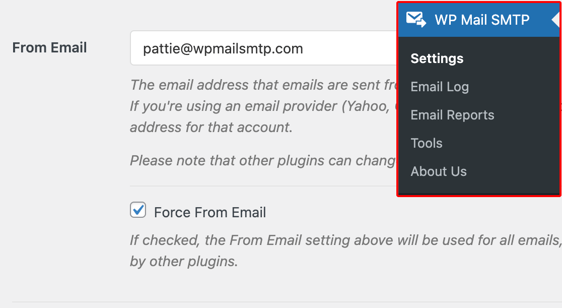 Entering the From Email in the WP Mail SMTP settings