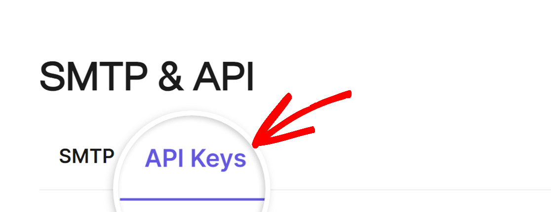 API key tabs