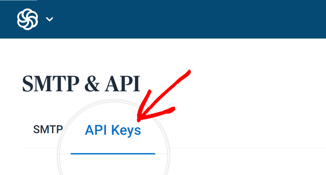 API key tabs