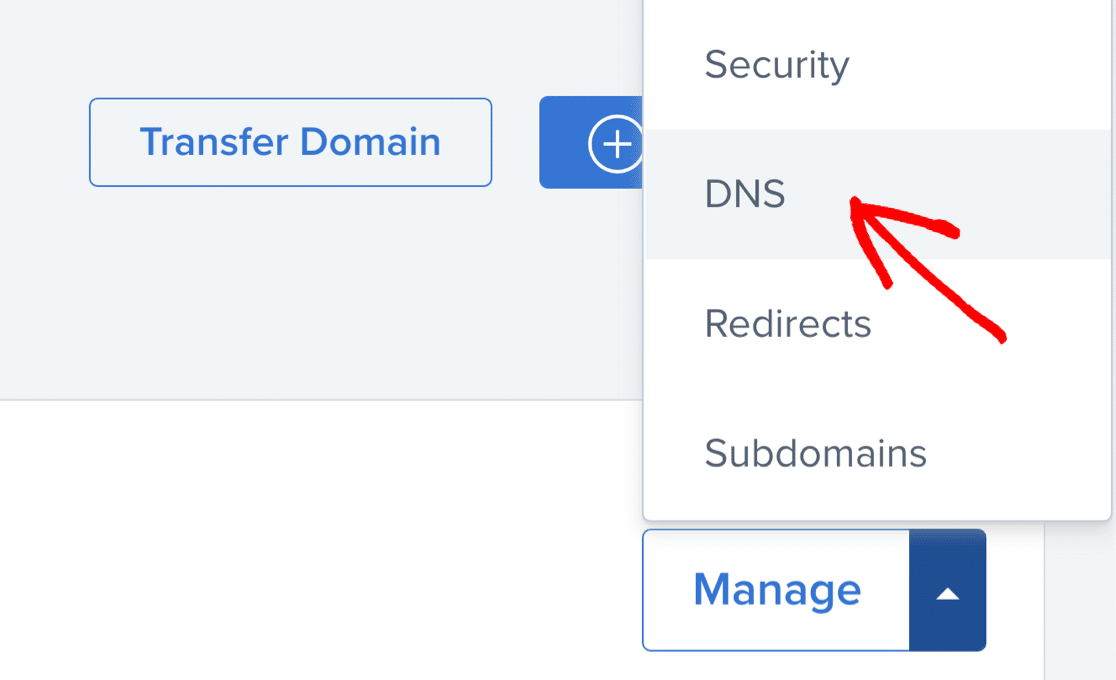 Bluehost edit DNS