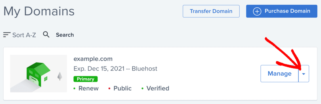 Manage domain to merge SPF in Bluehost