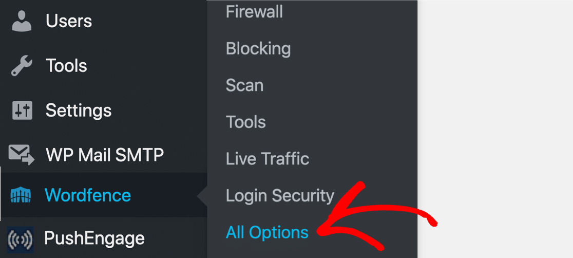 All Options in Wordfence