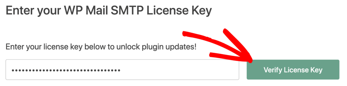 Enter WP Mail SMTP license key