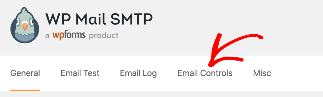 Email Controls in WP Mail SMTP