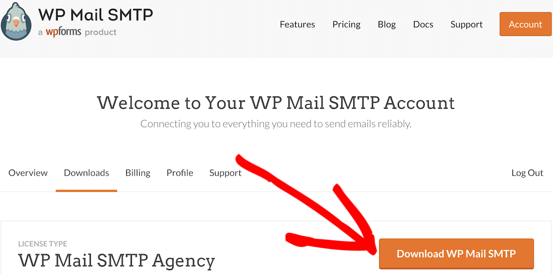 Download WP Mail SMTP from your account's Downloads page