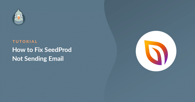 SeedProd not sending email