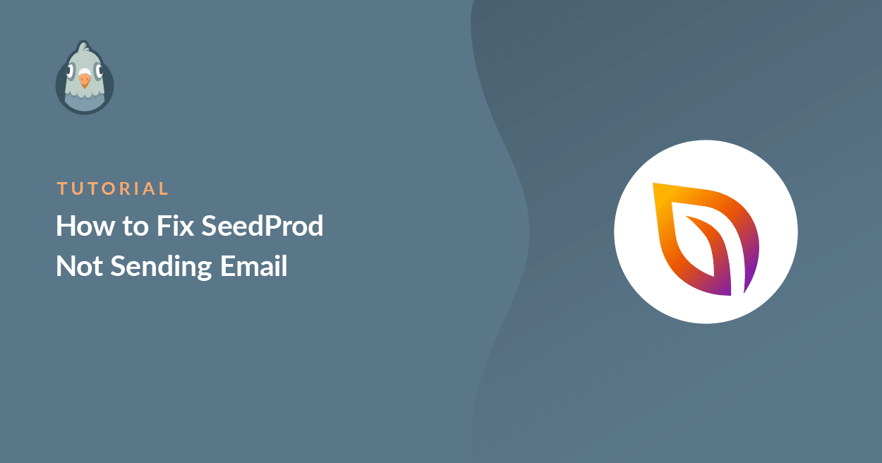 SeedProd n'envoie pas d'e-mail - WP Mail SMTP SeedProd n'envoie pas d'e-mail