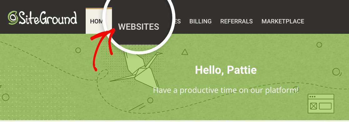 The Websites tab in SiteGround