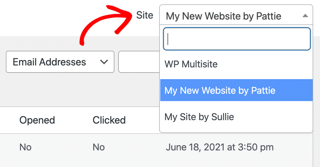 Multisite email log in WordPress