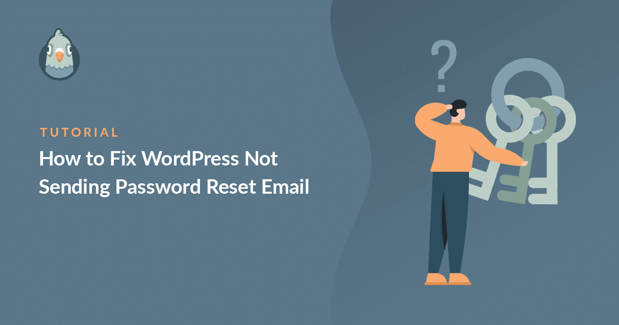 Require Account Email For Password Reset Emails - Website Features -  Developer Forum