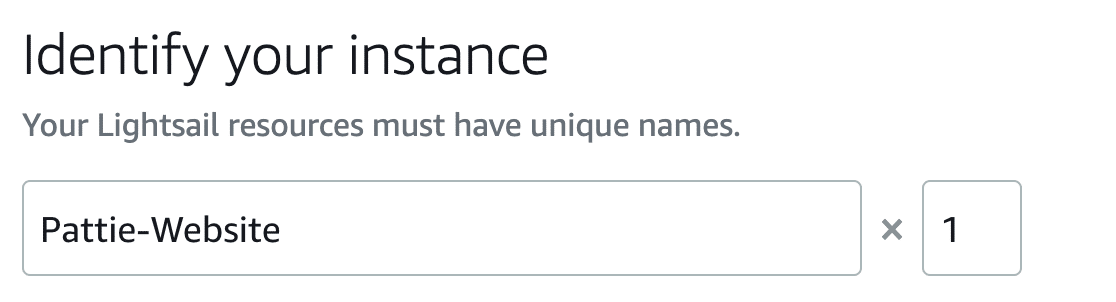 Naming your Lightsail instance