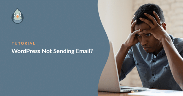 WordPress not sending email