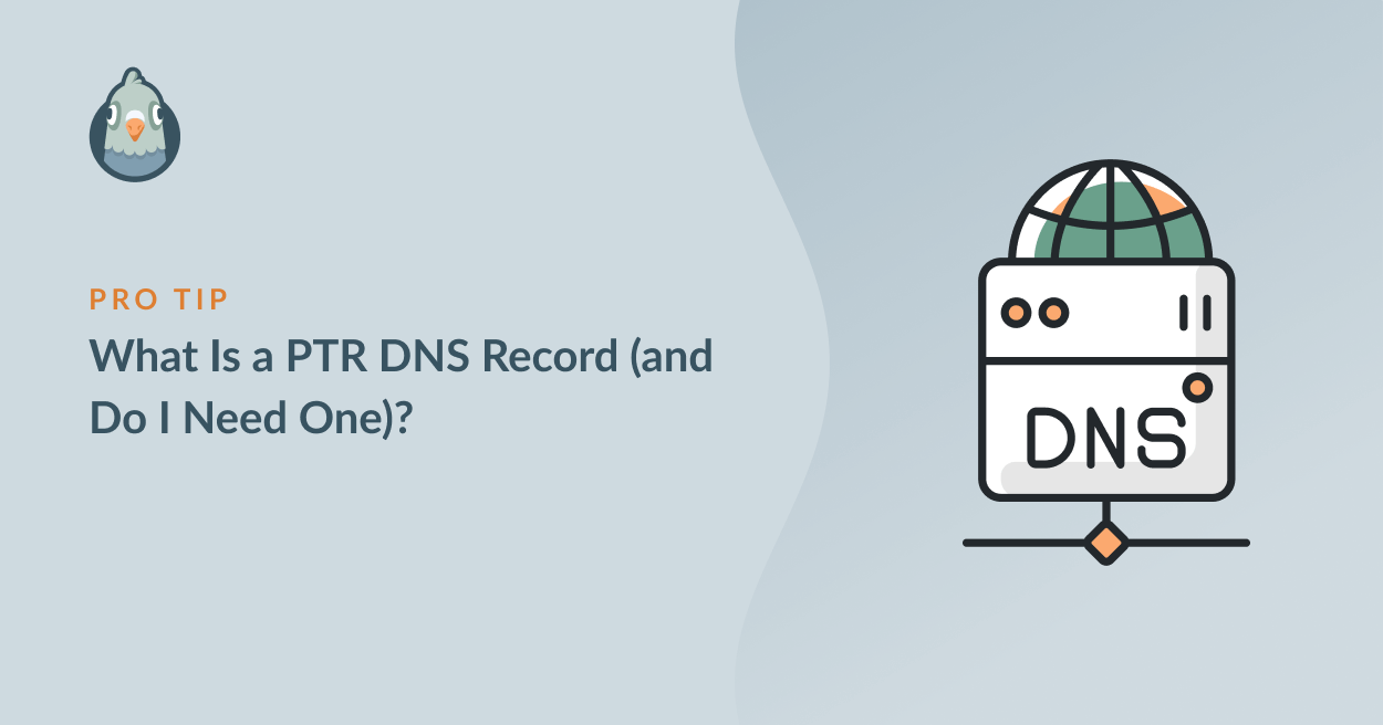 Cos'è un record PTR DNS? - WP Mail SMTP Cos'è un record PTR DNS?