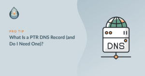 What Is A PTR DNS Record (and Do I Need One)?