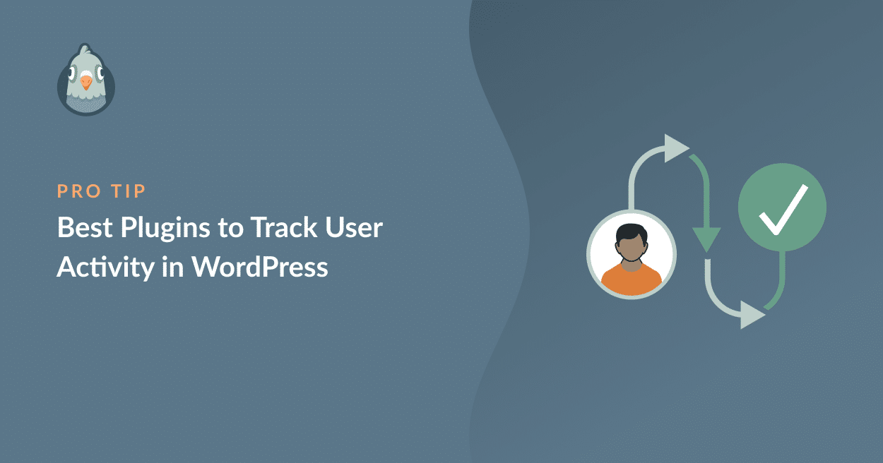 WordPress-Benutzer-Tracking-Plugins