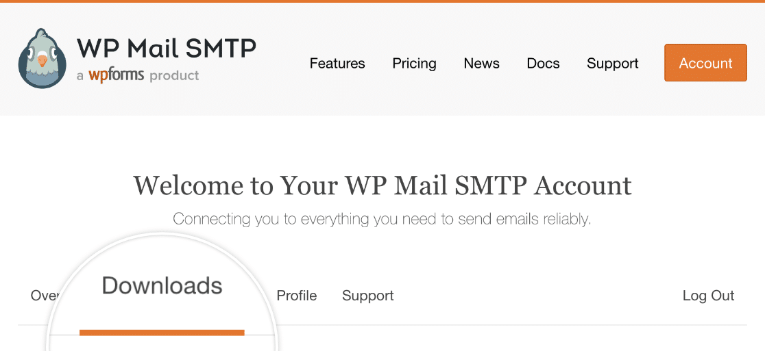 Downloads tab WP Mail SMTP