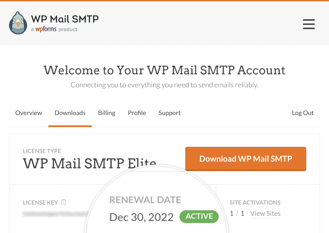 how-to-cancel-your-wp-mail-smtp-account