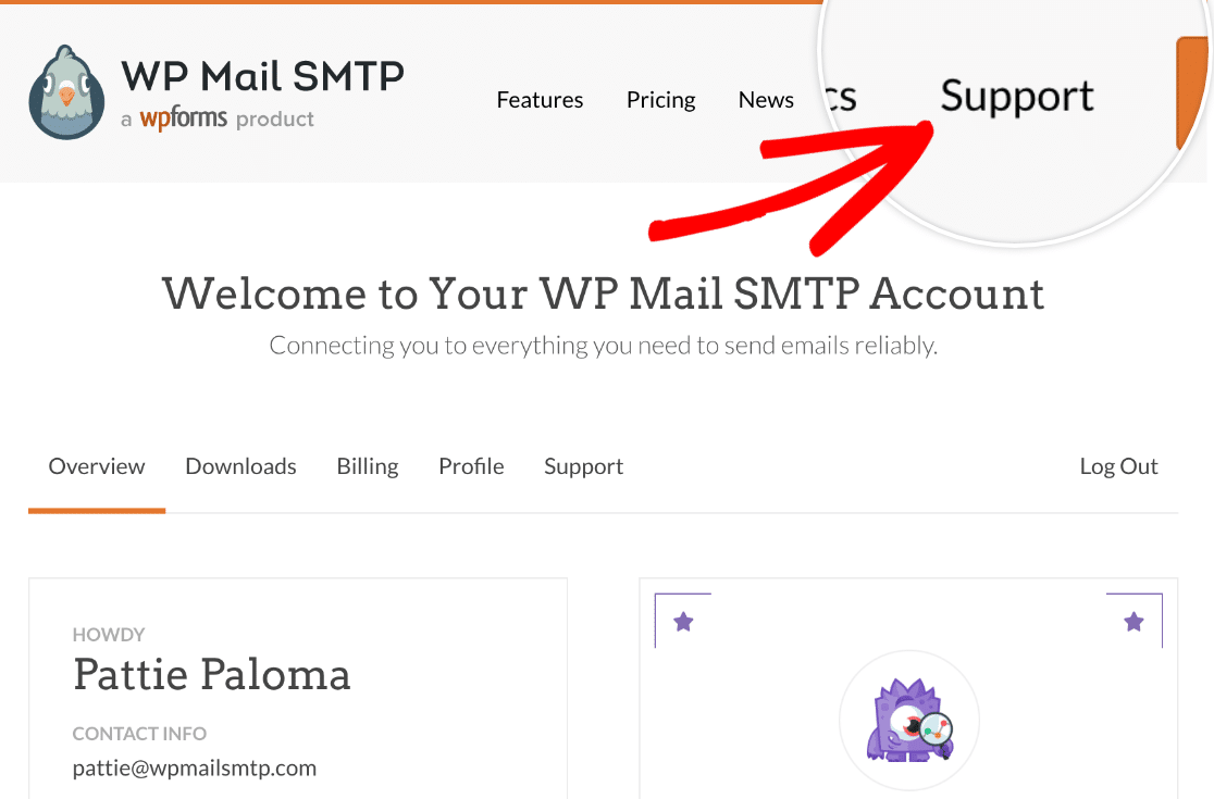 WP Mail SMTP Support