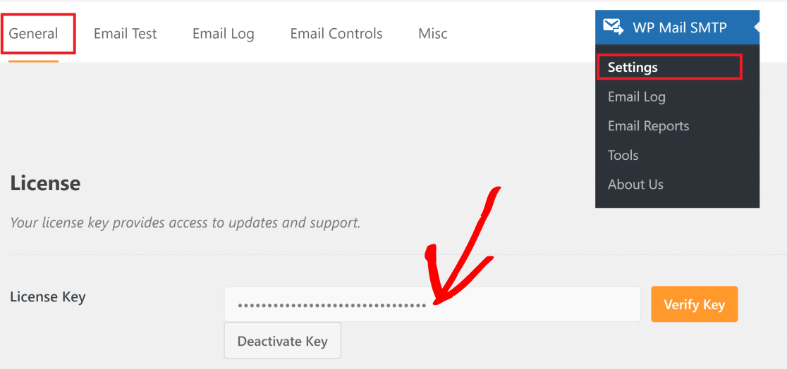 wp mail smtp license key setting