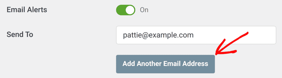 Click the Add Another Email Address button