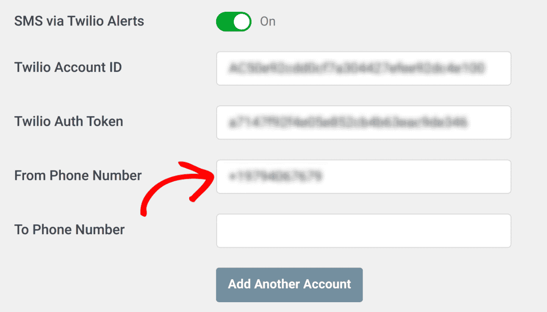 Paste your Twilio phone number in the From Phone Number field