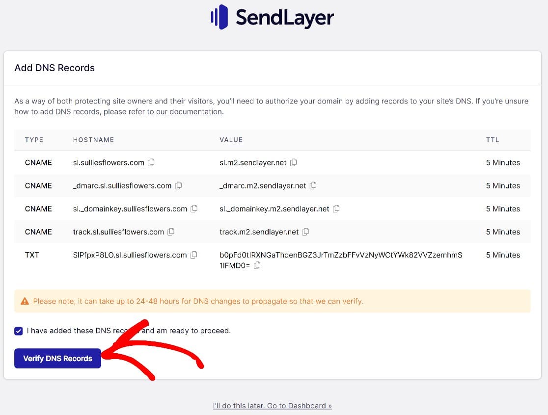 SendLayer verify DNS records