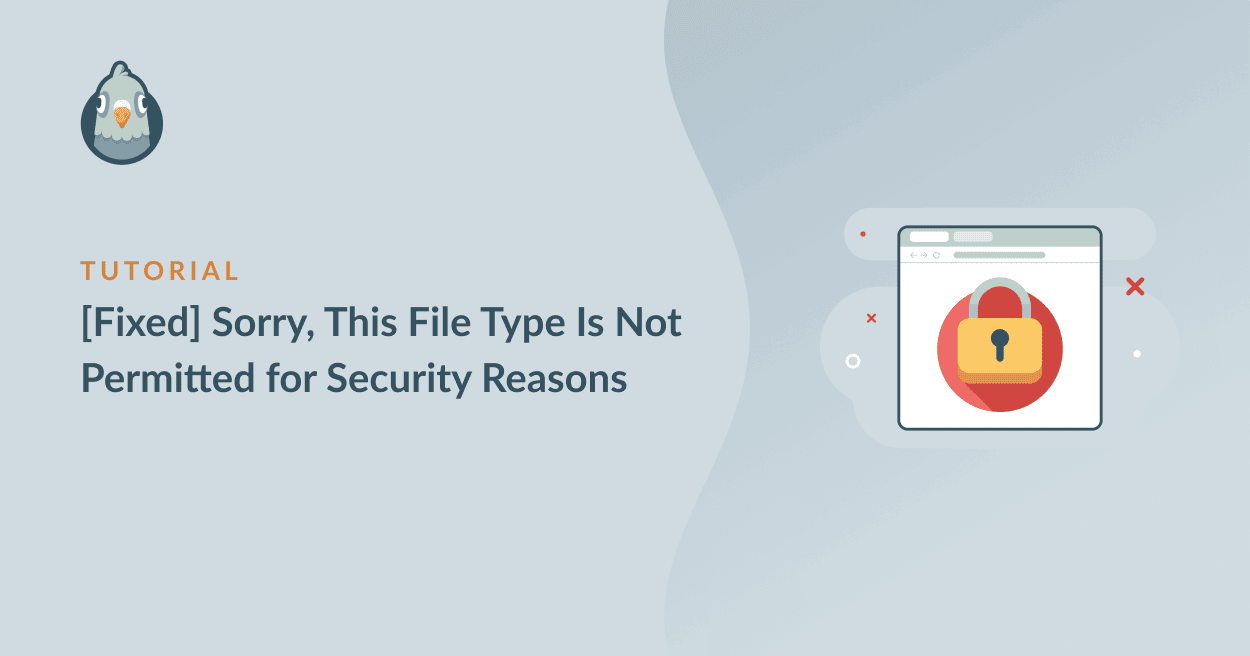 [Fixed] Sorry this file type is not permitted
