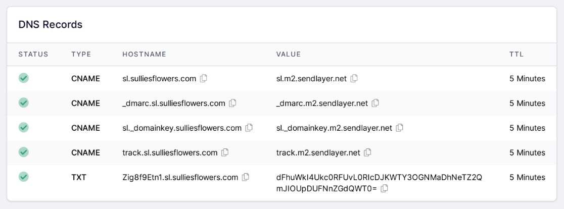 authenticated dns records