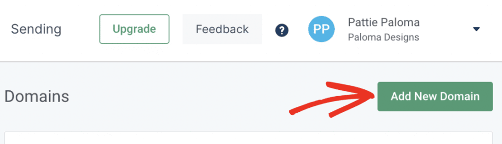 The Add New Domain button in Mailgun