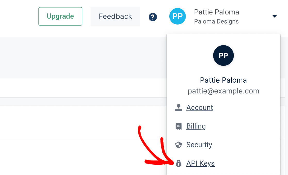 Open API page in Mailgun account