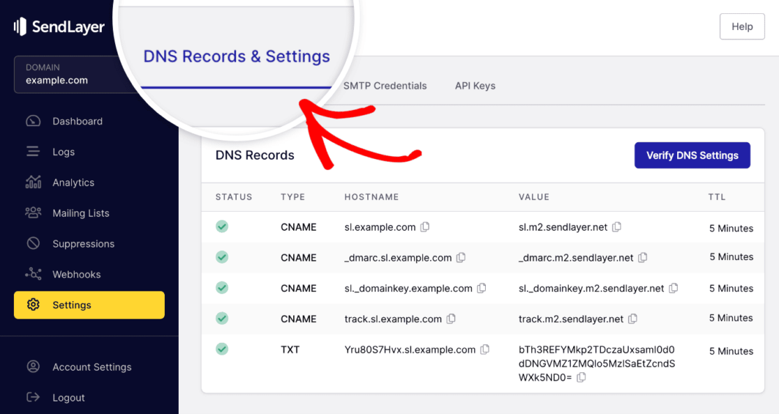 SL DNS records