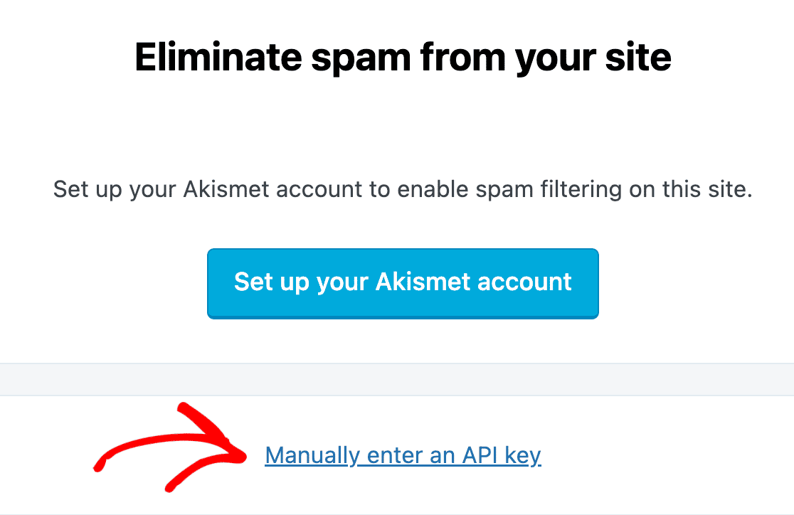 manually enter api key