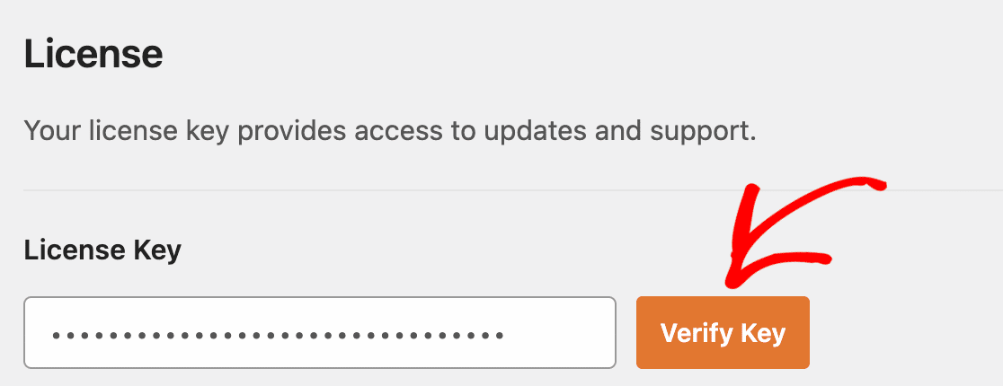 Verifying a license key in the WP Mail SMTP settings