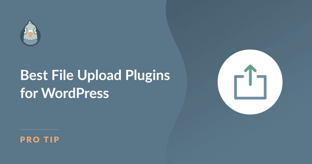 Free File Upload Plugin WordPress – LJNN