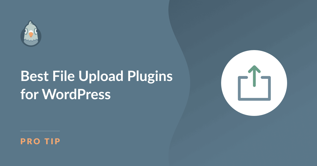 7 Best WordPress File Upload Plugins in 2024