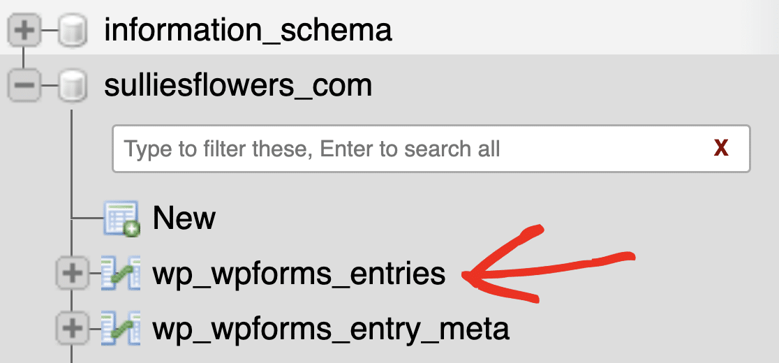 WPForms entries table WP database