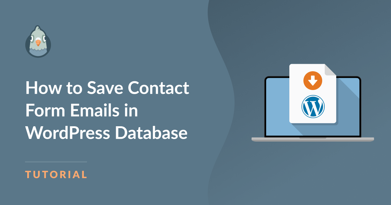 WordPress save email to database - WP Mail SMTP WordPress save email to database