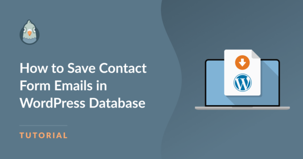 WordPress save email to database