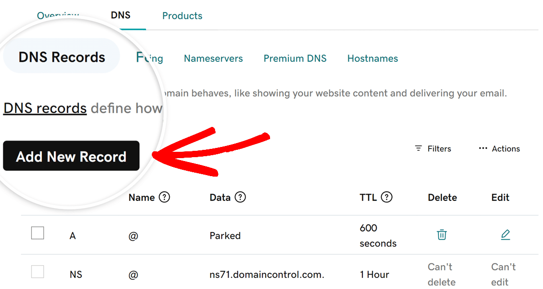 Add New Record button to add DNS records