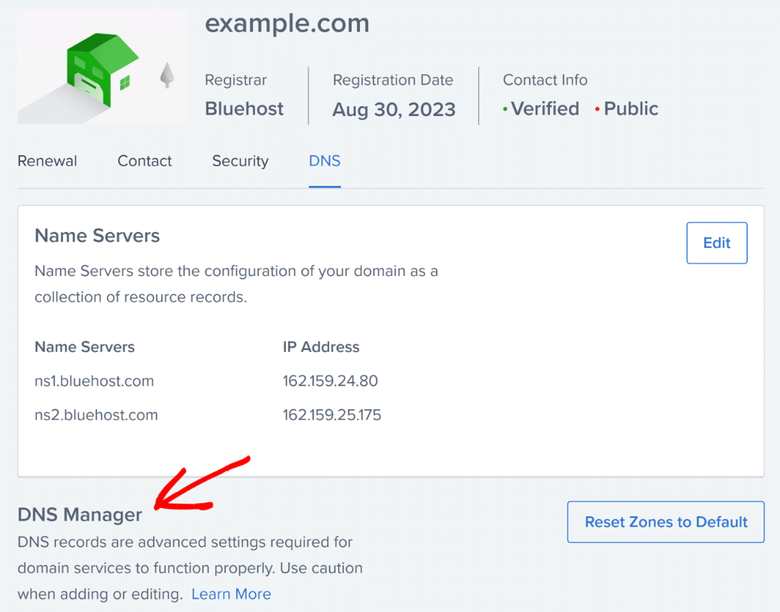 dns-manager-section