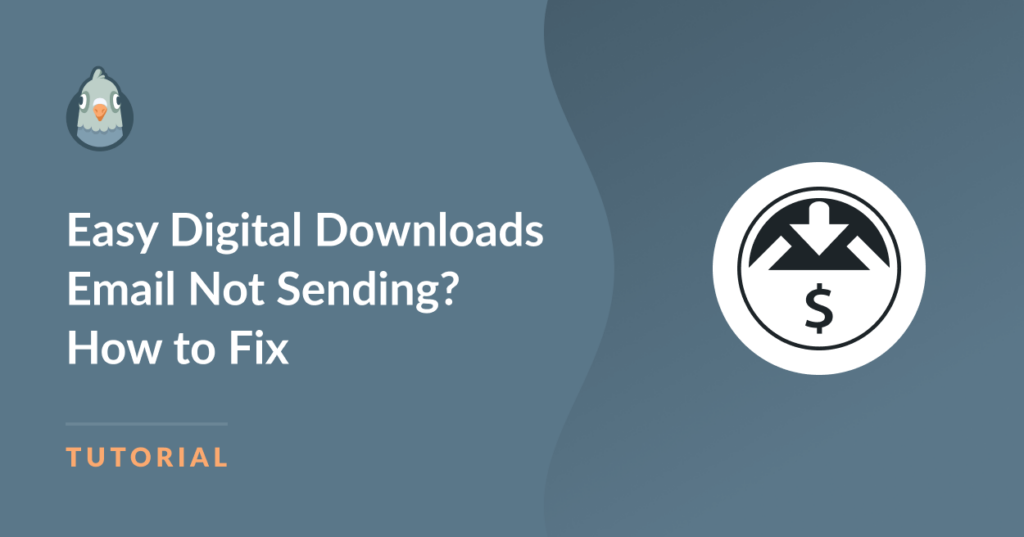 Easy Digital Downloads Email Not Sending? How to Fix