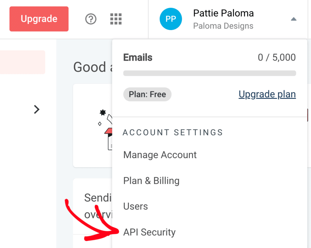 The API Security option in the Mailgun account menu