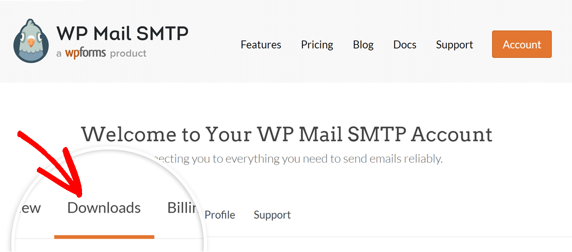 Accessing the Downloads section of your WP Mail SMTP account