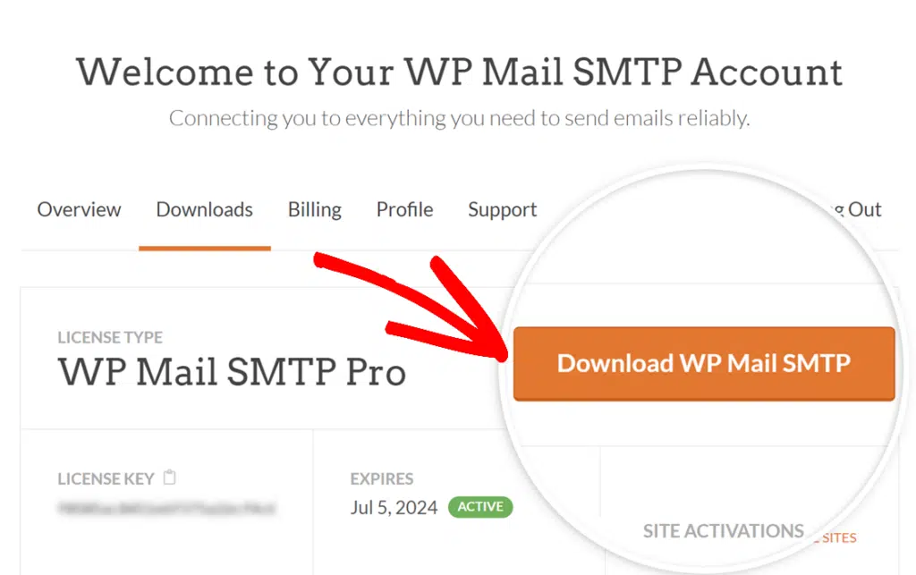 Descarregar WP Mail SMTP Pro