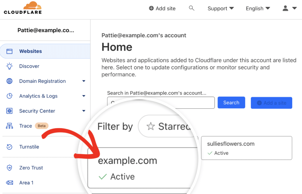 select domain cloudflare